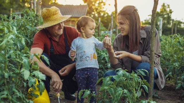 Family in garden